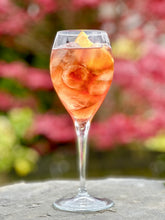 Load image into Gallery viewer, Damaro - Lakeland Damson Aperitif