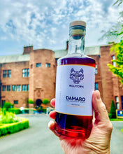 Load image into Gallery viewer, Damaro - Lakeland Damson Aperitif